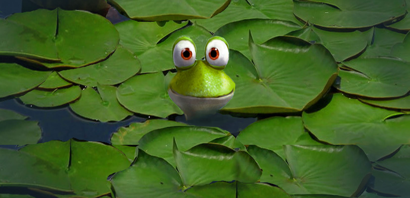 DUDLEY IN POND