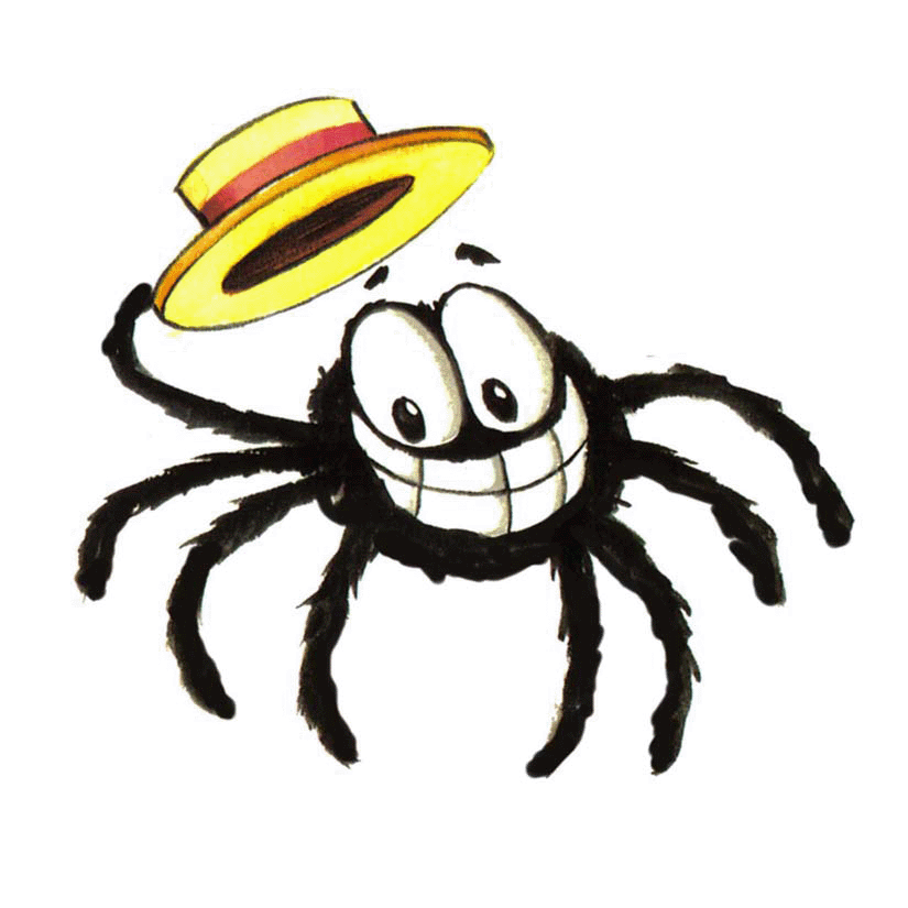 spider hat small