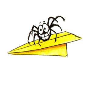 spider paper plane small